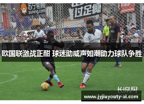 欧国联激战正酣 球迷助威声如潮助力球队争胜
