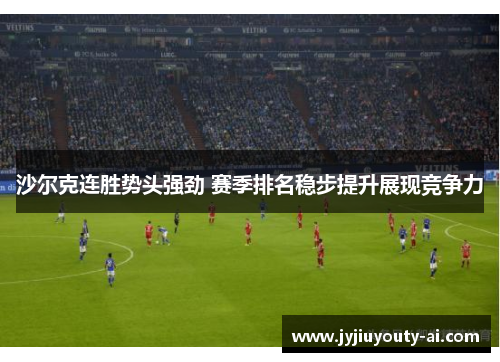 沙尔克连胜势头强劲 赛季排名稳步提升展现竞争力