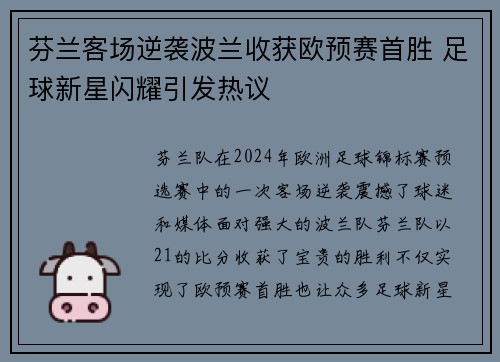芬兰客场逆袭波兰收获欧预赛首胜 足球新星闪耀引发热议